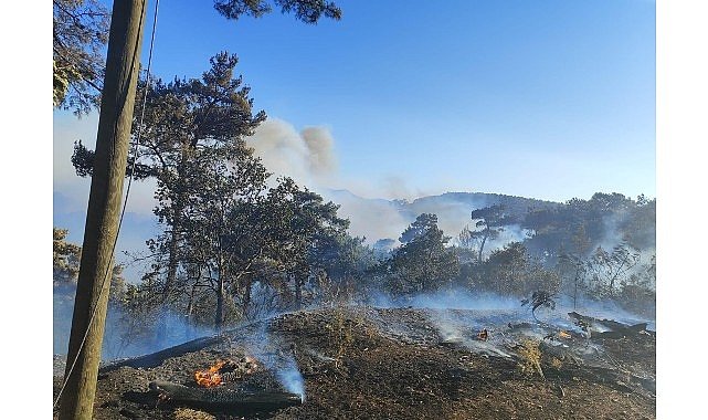Akhisar’da Kontrol Altına Alınan Orman Yangını
