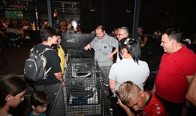 Kemer’de Sokak Hayvanları İçin Özel Konser Düzenlendi