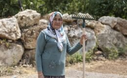 Yenişehir’de Safran Üretimi Yaygınlaşıyor