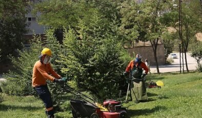 Çankaya Parkları Yaz Döneminde Yenileniyor