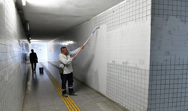 Çiğli’de Sonbahar Estetiği: Ağaç Budama ve Temizlik