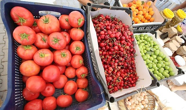 Efes Tarlası’nda Üretici Pazarı ve Temiz Gıda Söyleşisi Başlıyor